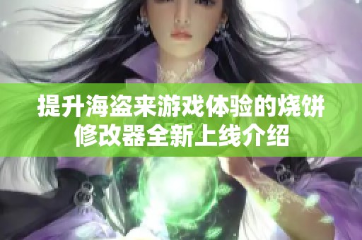 提升海盜來游戲體驗(yàn)的燒餅修改器全新上線介紹
