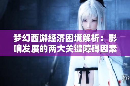 夢幻西游經(jīng)濟(jì)困境解析：影響發(fā)展的兩大關(guān)鍵障礙因素