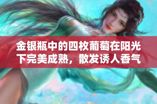 金銀瓶中的四枚葡萄在陽光下完美成熟，散發(fā)誘人香氣