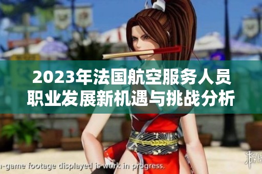 2023年法國航空服務人員職業(yè)發(fā)展新機遇與挑戰(zhàn)分析