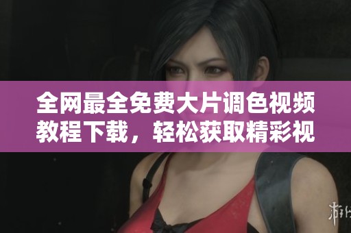 全網(wǎng)最全免費(fèi)大片調(diào)色視頻教程下載，輕松獲取精彩視頻資源