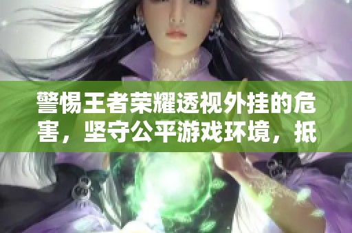 警惕王者榮耀透視外掛的危害，堅(jiān)守公平游戲環(huán)境，抵制非法軟件！