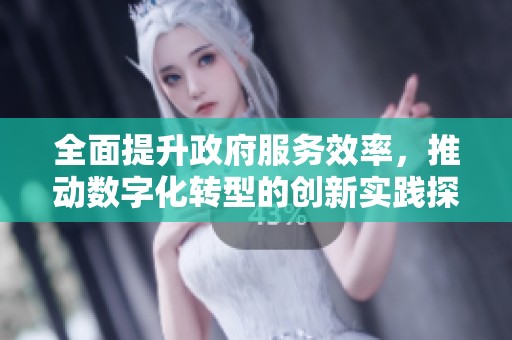 全面提升政府服務(wù)效率，推動數(shù)字化轉(zhuǎn)型的創(chuàng)新實踐探索