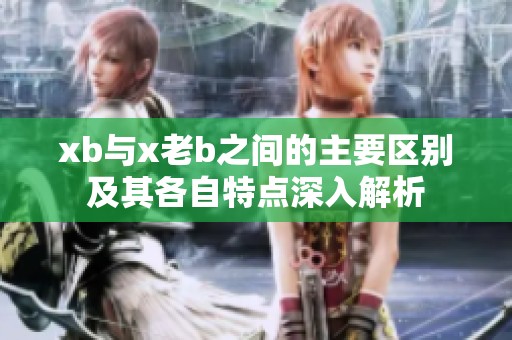 xb與x老b之間的主要區(qū)別及其各自特點(diǎn)深入解析