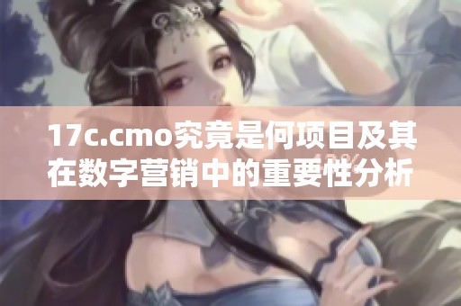 17c.cmo究竟是何項目及其在數(shù)字營銷中的重要性分析