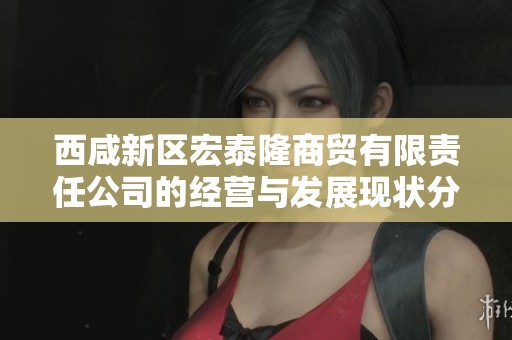 西咸新區(qū)宏泰隆商貿(mào)有限責任公司的經(jīng)營與發(fā)展現(xiàn)狀分析