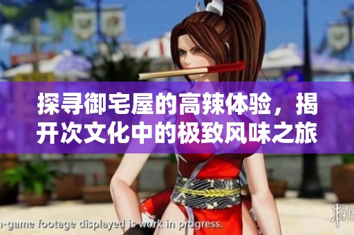 探尋御宅屋的高辣體驗(yàn)，揭開次文化中的極致風(fēng)味之旅