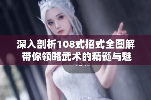 深入剖析108式招式全圖解 帶你領(lǐng)略武術(shù)的精髓與魅力