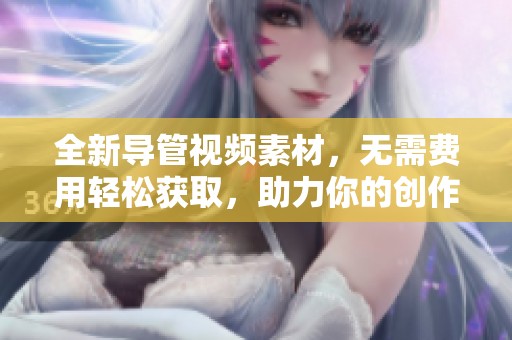 全新導(dǎo)管視頻素材，無需費(fèi)用輕松獲取，助力你的創(chuàng)作靈感！