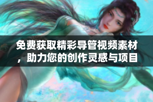 免費(fèi)獲取精彩導(dǎo)管視頻素材，助力您的創(chuàng)作靈感與項(xiàng)目需求