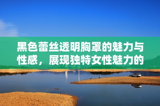 黑色蕾絲透明胸罩的魅力與性感，展現(xiàn)獨(dú)特女性魅力的時(shí)尚選擇