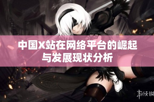 中國X站在網(wǎng)絡(luò)平臺的崛起與發(fā)展現(xiàn)狀分析