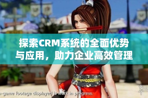 探索CRM系統(tǒng)的全面優(yōu)勢(shì)與應(yīng)用，助力企業(yè)高效管理客戶(hù)關(guān)系