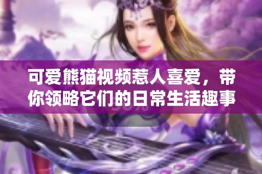 可愛(ài)熊貓視頻惹人喜愛(ài)，帶你領(lǐng)略它們的日常生活趣事