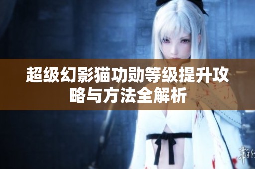 超級(jí)幻影貓功勛等級(jí)提升攻略與方法全解析
