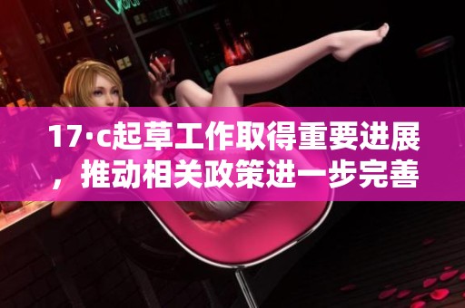 17·c起草工作取得重要進展，推動相關(guān)政策進一步完善和落實