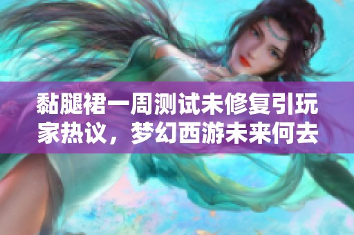 黏腿裙一周測(cè)試未修復(fù)引玩家熱議，夢(mèng)幻西游未來何去何從