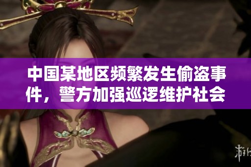中國某地區(qū)頻繁發(fā)生偷盜事件，警方加強巡邏維護社會治安情況分析