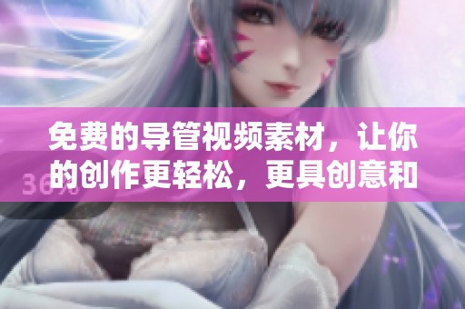 免費的導(dǎo)管視頻素材，讓你的創(chuàng)作更輕松，更具創(chuàng)意和專業(yè)感