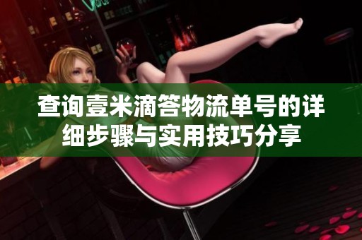 查詢壹米滴答物流單號(hào)的詳細(xì)步驟與實(shí)用技巧分享