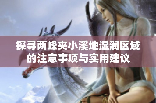探尋兩峰夾小溪地濕潤區(qū)域的注意事項與實用建議