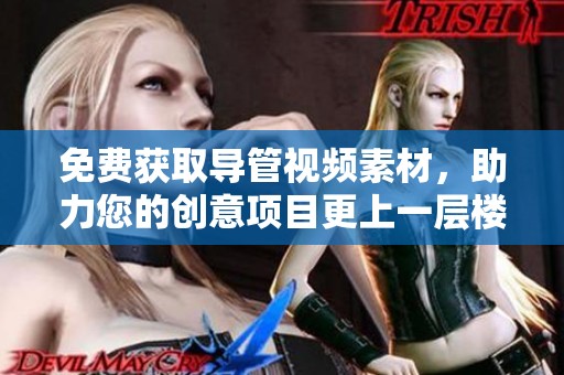免費獲取導(dǎo)管視頻素材，助力您的創(chuàng)意項目更上一層樓