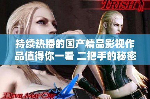 持續(xù)熱播的國(guó)產(chǎn)精品影視作品值得你一看 二把手的秘密之旅