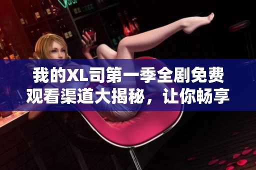 我的XL司第一季全劇免費觀看渠道大揭秘，讓你暢享精彩劇情
