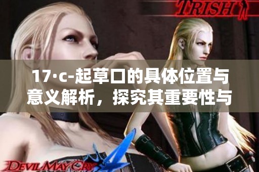 17·c-起草口的具體位置與意義解析，探究其重要性與發(fā)展前景