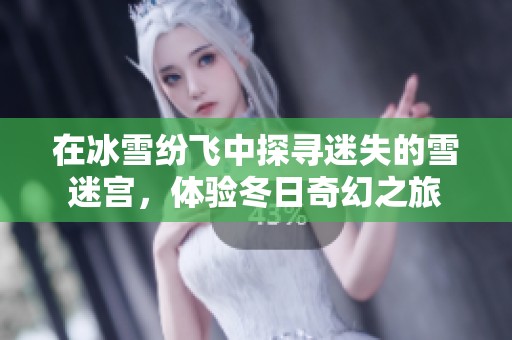 在冰雪紛飛中探尋迷失的雪迷宮，體驗冬日奇幻之旅