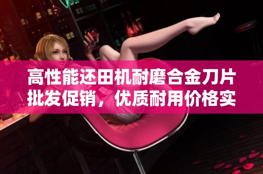 高性能還田機(jī)耐磨合金刀片批發(fā)促銷，優(yōu)質(zhì)耐用價(jià)格實(shí)惠