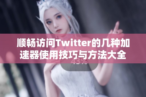 順暢訪問(wèn)Twitter的幾種加速器使用技巧與方法大全