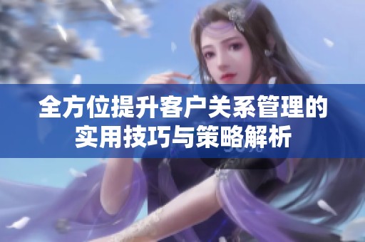 全方位提升客戶關(guān)系管理的實用技巧與策略解析