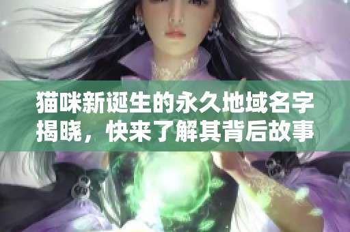 貓咪新誕生的永久地域名字揭曉，快來了解其背后故事和意義！