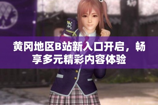 黃岡地區(qū)B站新入口開啟，暢享多元精彩內(nèi)容體驗
