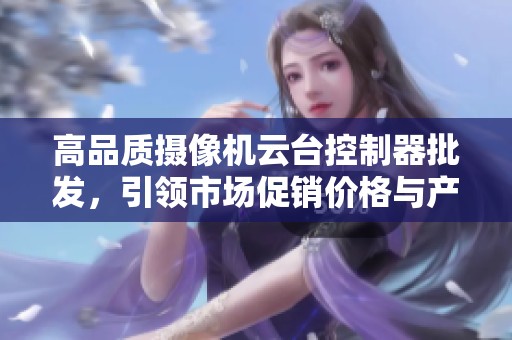 高品質(zhì)攝像機云臺控制器批發(fā)，引領(lǐng)市場促銷價格與產(chǎn)地選擇