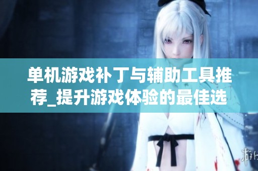 單機游戲補丁與輔助工具推薦_提升游戲體驗的最佳選擇