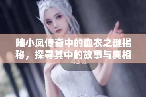 陸小鳳傳奇中的血衣之謎揭秘，探尋其中的故事與真相
