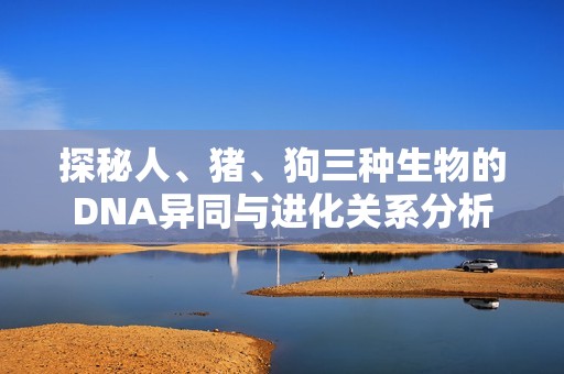 探秘人、豬、狗三種生物的DNA異同與進化關系分析
