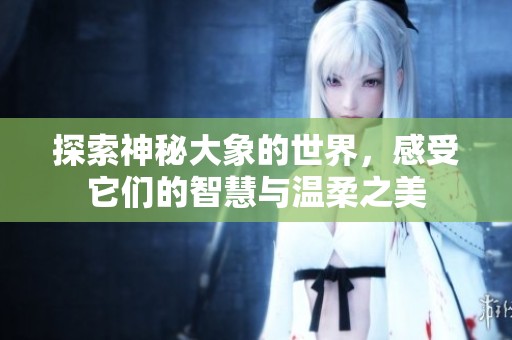 探索神秘大象的世界，感受它們的智慧與溫柔之美