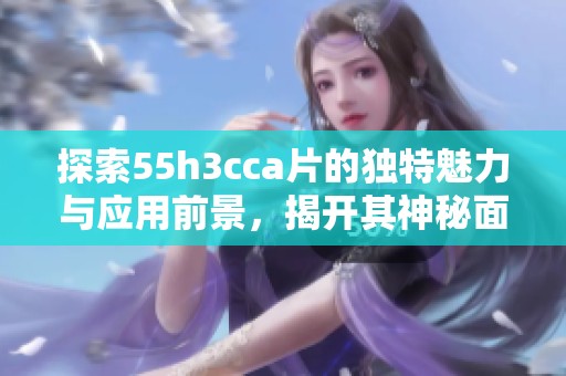 探索55h3cca片的獨(dú)特魅力與應(yīng)用前景，揭開其神秘面紗
