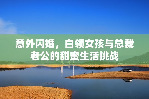 意外閃婚，白領(lǐng)女孩與總裁老公的甜蜜生活挑戰(zhàn)