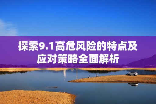 探索9.1高危風險的特點及應對策略全面解析