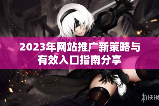 2023年網(wǎng)站推廣新策略與有效入口指南分享