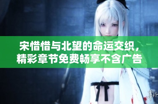 宋惜惜與北望的命運交織，精彩章節(jié)免費暢享不含廣告