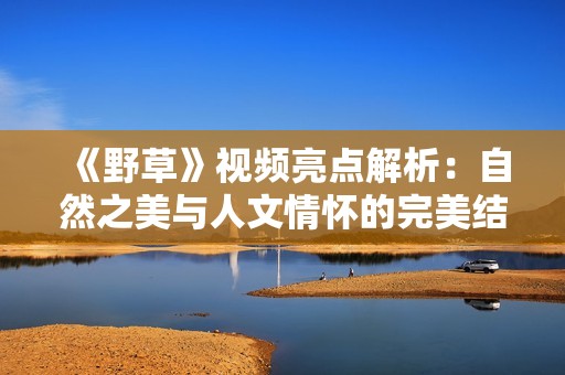 《野草》視頻亮點解析：自然之美與人文情懷的完美結合