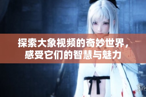 探索大象視頻的奇妙世界，感受它們的智慧與魅力