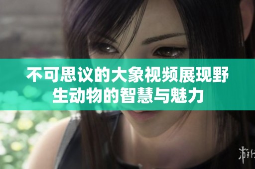 不可思議的大象視頻展現(xiàn)野生動(dòng)物的智慧與魅力