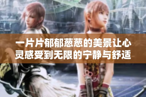 一片片郁郁蔥蔥的美景讓心靈感受到無(wú)限的寧?kù)o與舒適