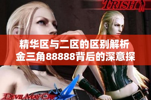 精華區(qū)與二區(qū)的區(qū)別解析 金三角88888背后的深意探討